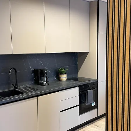 Apartment Modern & Spacious Two-bedroom