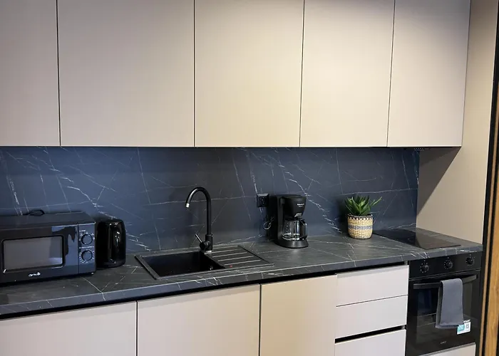 Lejlighed Modern & Spacious Two-bedroom *